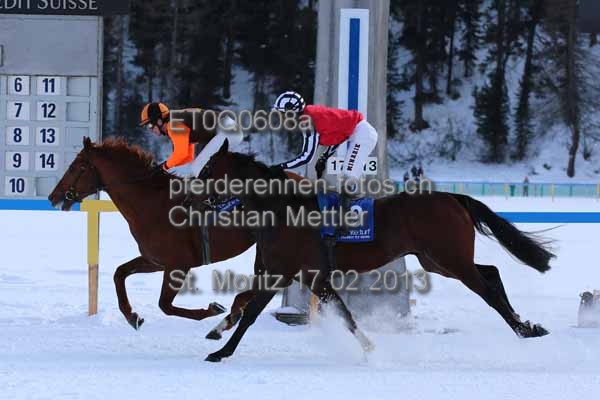 ET0Q0608a prot